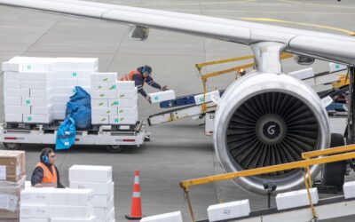 Who to Hold Accountable in Your Supply Chain