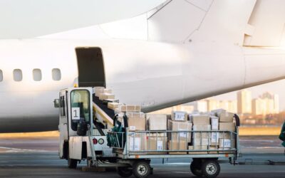 SpotSee IATA Temperature Label: Reliable Monitoring for Air Cargo Compliance