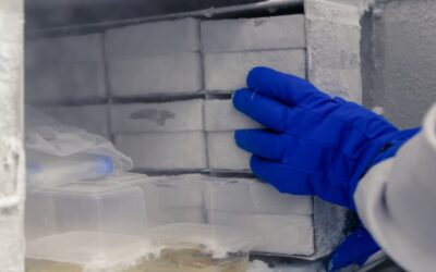 Revolutionizing the Last Mile in Europe –  Digital Solutions Safeguard Pharma Cold Chains