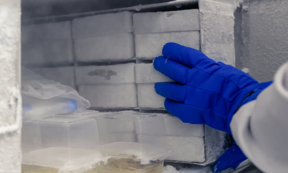 Revolutionizing the Last Mile in Europe – Digital Solutions Safeguard Pharma Cold Chains