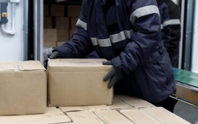 Smarter temperature visibility: How WarmMark QR transforms cold chain tracking