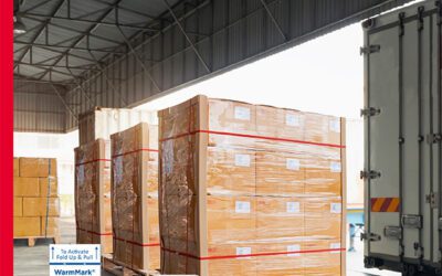 Revolutionizing the Future of Last-Mile Monitoring