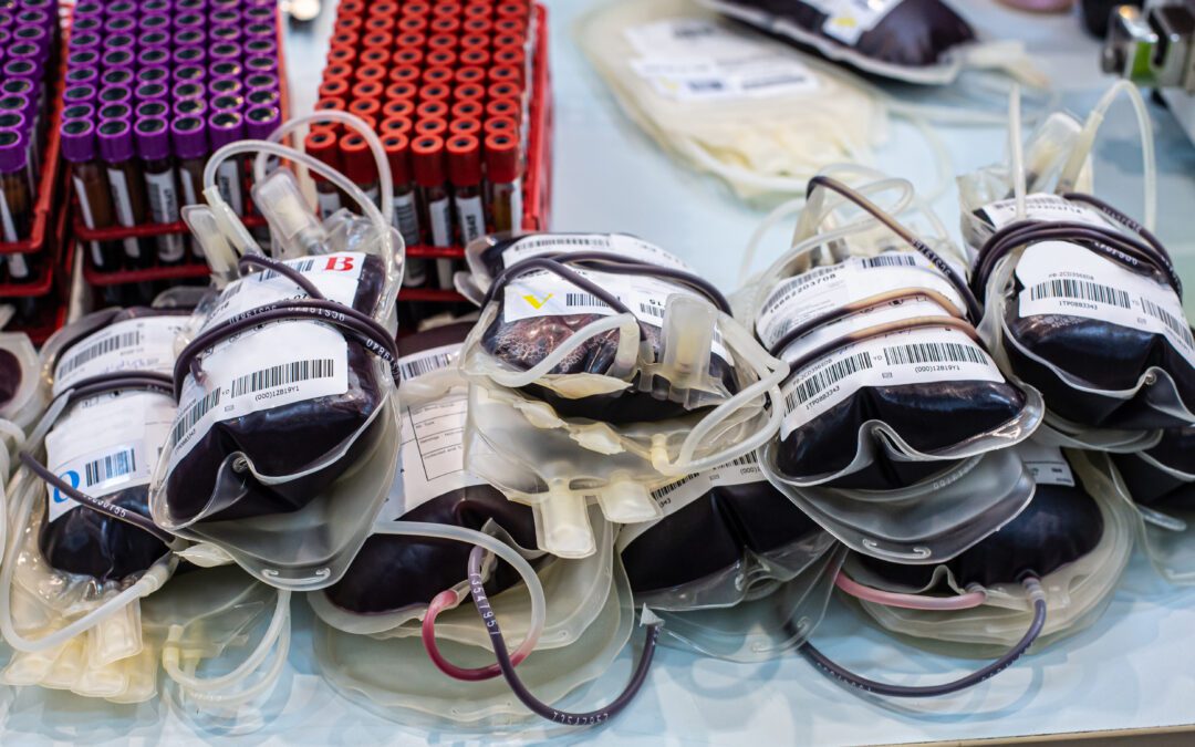 HemoTemp II blood bag monitor: Operational clarity for hospital blood banks and pathology labs