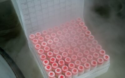 Choosing the right freeze temperature indicator for life science cold chain logistics