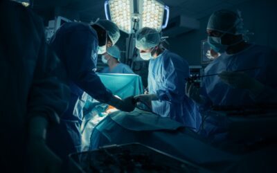 Freeze monitoring at critical hand-offs: choosing the right signal for implants and transplant logistics